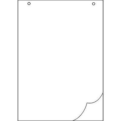 Flipcharts & Flipchart Paper Pads