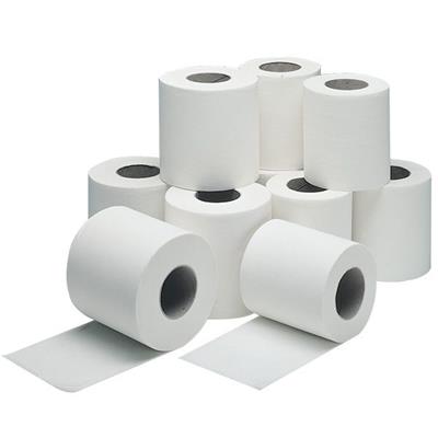 Toilet Paper Rolls